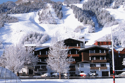 pet friendly hotel in aspen, hotel aspen dogs allowed