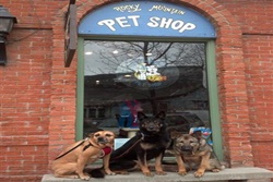 pet store in aspen