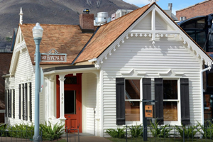 pet friendly restaurant in austin, texas